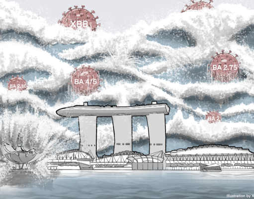The Omicron-transformer: Rise of the subvariants in the age of vaccines
