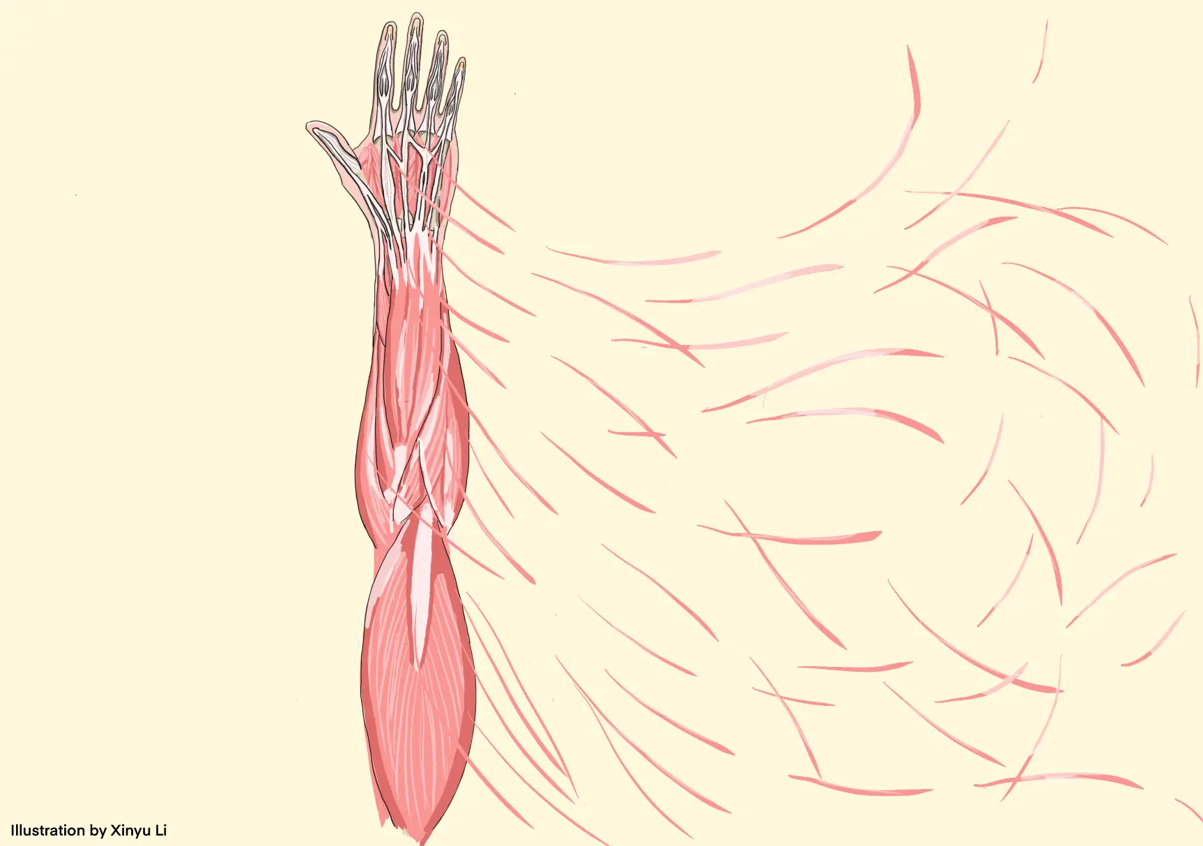 Systemic disconnects in musculoskeletal healthcare across the care continuum