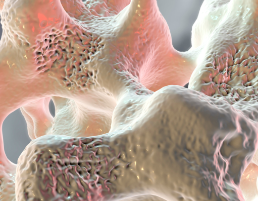 Anti-osteoporosis drugs reduce mortality in cancer patients: A national cohort study of elderly with vertebral fractures