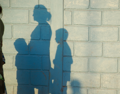 Mitigating adverse social determinants of health in the vulnerable population: Insights from a home visitation programme