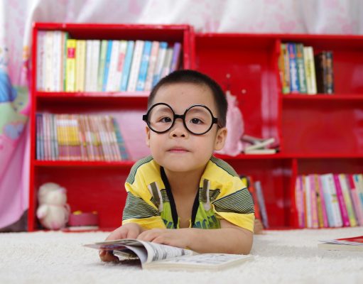 The impact of Anchor, a home visitation programme for maltreated children, on child developmental and behavioural outcomes