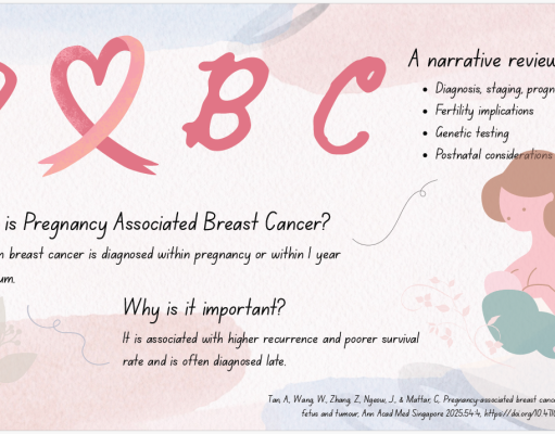 Pregnancy-associated breast cancer: Management of the mother, fetus and tumour