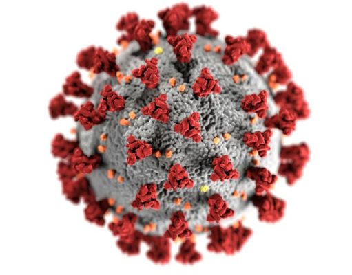 Omicron SARS-CoV-2 outcomes in vaccinated individuals with heart failure and ischaemic heart disease