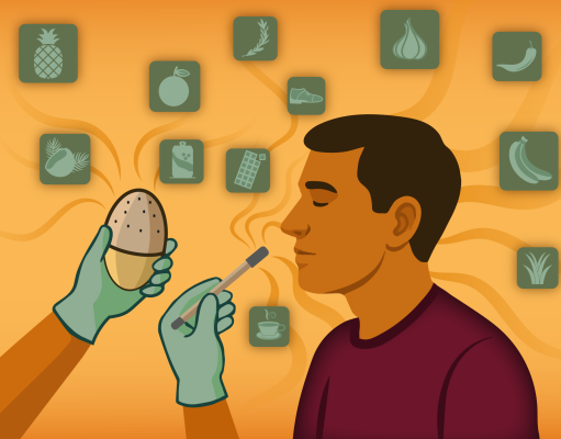 Development and validation of odour identification tests for olfactory assessment in Singapore
