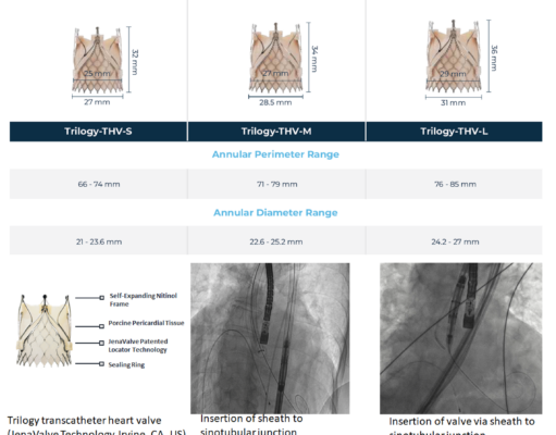Transcatheter aortic valve implantation for severe aortic regurgitation with Trilogy system: Initial Southeast Asia experience